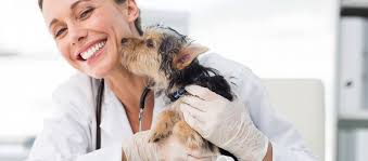 Imagem da galeria de Veterinária Pet Feliz