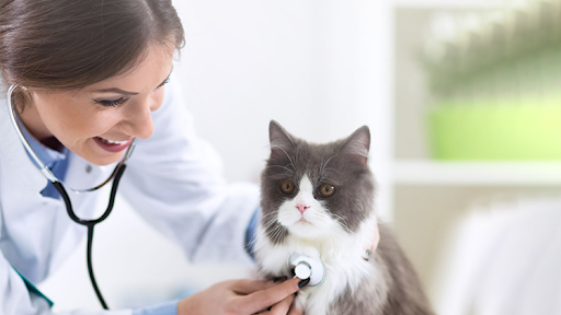 Imagem da galeria de Veterinária Pet Feliz